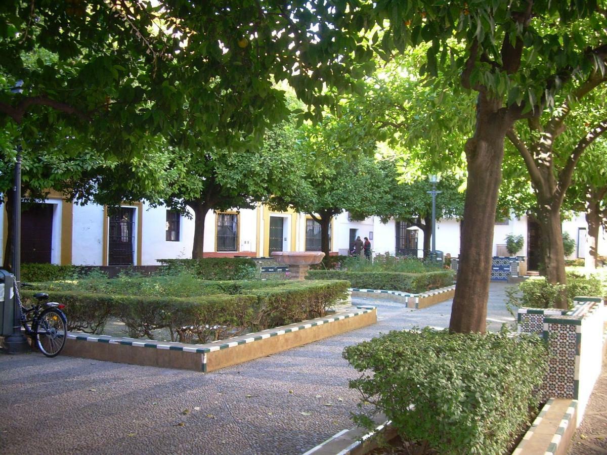 Toreros De Sevilla 5 Pax — Photos 2
